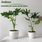 Indoor Plant Trellis Support, 4PCS Durable Metal in & Outdoor Trellis for Climbing Plants 15.7 Inch Metal Garden Stakes Plant Stem Holder Support for Potted Plants, Monstera, Flowers & Herbs (4PCS)