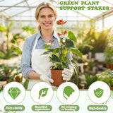 Stackable Monstera Moss Pole, 10 PCS Natural Coir Plant Support Stakes.