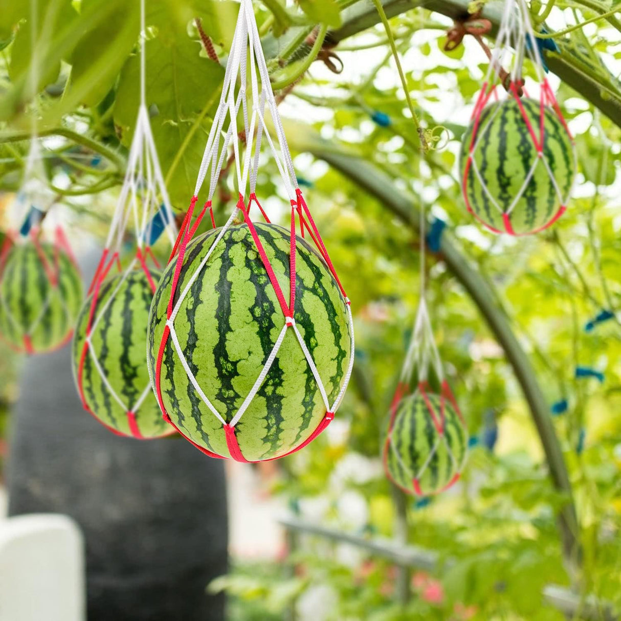 WhistenFla 30Pcs Melon Hammocks Cradles, Heavy Duty Watermelon Nets