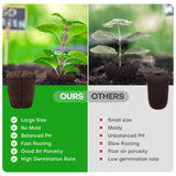LAPOND 50 Pcs Grow Sponges,Replacement Plant Starter Plugs for Cuttings and Propagation,Great for Soil, Tray or Planting Pods, Promotes Herbs, Vegetables and Flowers Growth