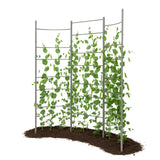 Anleolife 5.2x6ft Galvanized Vertical Panel Trellis, Raised Beds and Vines