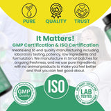 BoostCeuticals Nattokinase Supplement 2000 FU 100mg | 60 Vegan Capsules | No stearates, Non GMO Gluten Free Natural Blood Thinner & Blood Flow Supplement