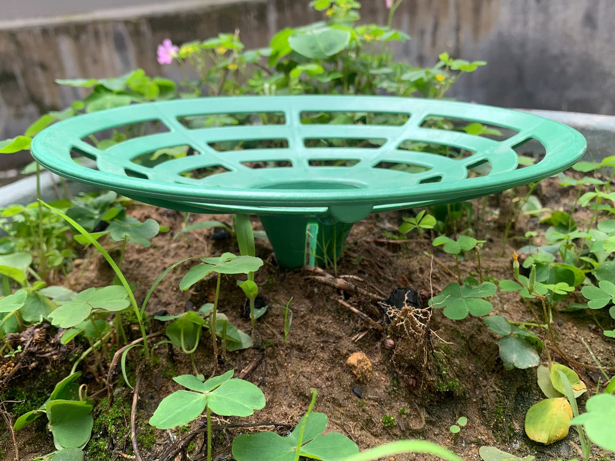 DSHE Melon Cradle 10 Packs Pumpkin Stand Plant Support for Cantaloupe Melon, Squash, Watermelon