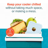Healthy Packers Ice Packs for Lunch Boxes & Coolers – Pastel Slim Long-Lasting Reusable Gel Freezer Packs | Thin Ice Pack for Lunch Box | BPA-Free, Leak-Proof (4 Pack)