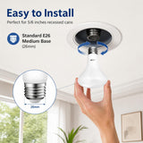 MASTERY MART 12 Pack BR30 LED Light Bulb, E26 Led Bulb 65 watt, 5000K Daylight 10W Dimmable 700 Lumen，Recessed Wide Flood Light Bulb for Indoor Kitchen Ceiling