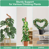 3 Pack Moss Pole, 50 Inch Monstera Plant Support, Tall Moss Poles for Climbing Plants Indoor DIY, Coco Coir Plant Pole Moss Plant Stick Support Stake Kit for Potted Plants, Pothos, Philodendron