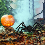 Halloween Decorations Outdoor Large Spiders: 6 Pack Spiders Halloween Decor