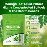 VivoNu Moringa Capsules | Pure Moringa Leaf Extracts, Energy, Skin & Gut Health Superfood, Rich in Antioxidants, Essential Vitamins & Amino Acids, Natural Green Superfood Supplement