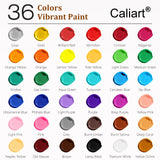 Caliart Acrylic Paint Set of 36 Colors with 12 Brushes