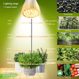 MILYN 2 Pack LED Grow Light Bulb, 30W Full Spectrum Plant Light Bulb Warm LED Grow Lights for Indoor Plants Vegetables, Flowers, Houseplants and Seedlings, E26 Lamp for Greenhouse, Garden, Hydroponic