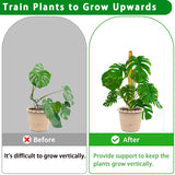 Moss Pole, 4 Pack 17Inch Monstera Plant Support for Climbing Plants Accessories Indoor -Stackable Moss Poles Plant Support Stakes -Coir Plant Pole Sticks for Potted Plants -Pothos, Tall Plant Trellis