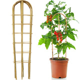 SWANGSA 6 Pack 4Ft U-Shape Bamboo Trellis for Climbing Plants, Garden Ladder Trellis for Outdoor and Indoor Plant Support, Potted Plants, Vegetables, Cucumber, Tomato, Vine