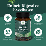 Digestive Enzymes with Ox Bile - Ox Bile Supplements for No Gallbladder with Trypsin, Papain & Bromelain Enzyme for Pancrease Cleanse & Detox - Pancreatin Digestion Enzymes for Women & Men - 90 Ct