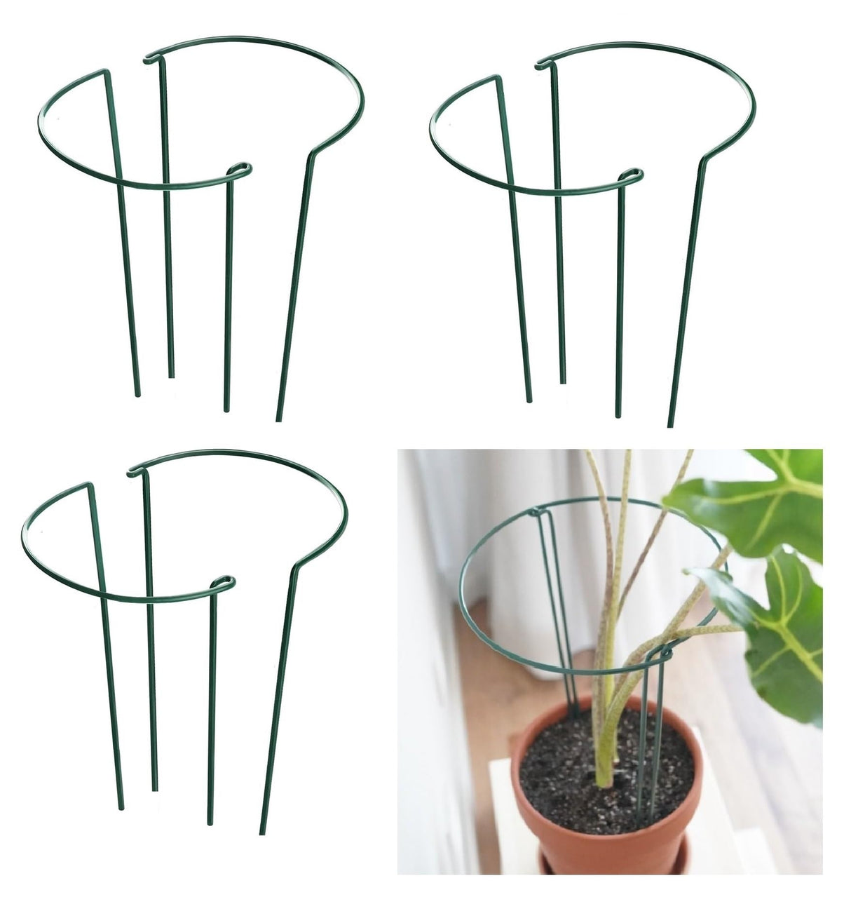 6 Pack 13.8 Inch High Plant Stake,Garden Plant Support,Half-Round Peony Cage Plant Ring Hoop