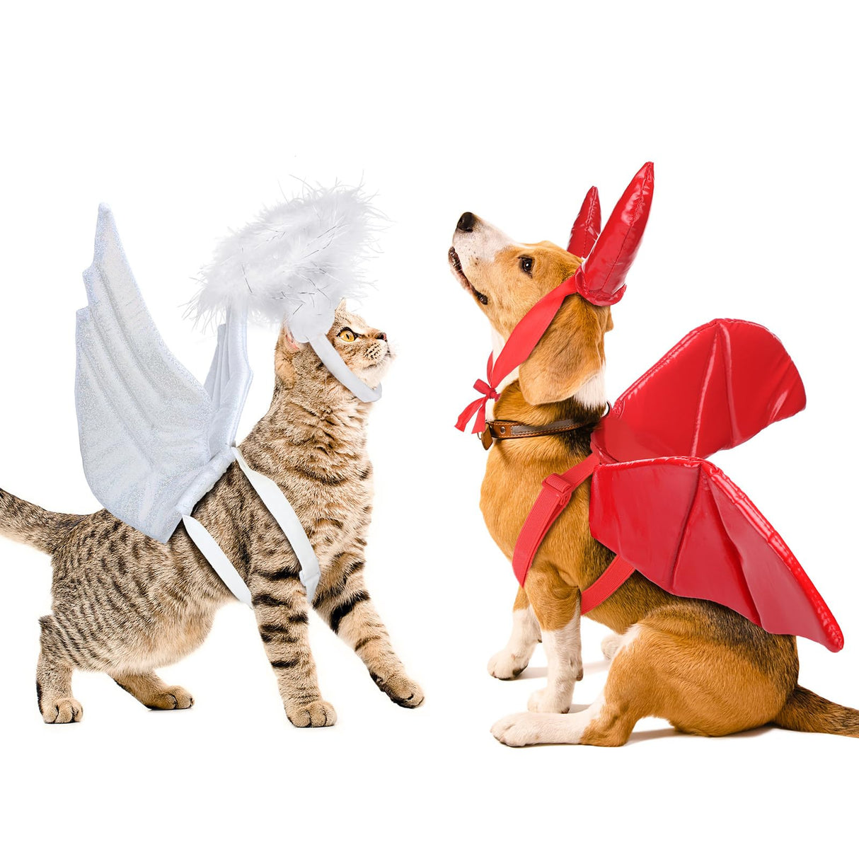 Bulyoou Pet Halloween Costume Angel Dog Costume Wings and Dog Devil Cat Angel Devil Cosplay Outfit Fits Many Pets for Christmas, Halloween Parties, Gifts for Dog & Cat Lovers(White, Red)