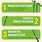 6-Pack Garden Plant Support Cages,14"Diax32"H Heavy Duty Interlinked Half Round Peony Support Rings,Metal Plant Support Stakes for Peony,Tomato,Hydrangea,Rose,Indoor & Outdoor Garden Plant Supports