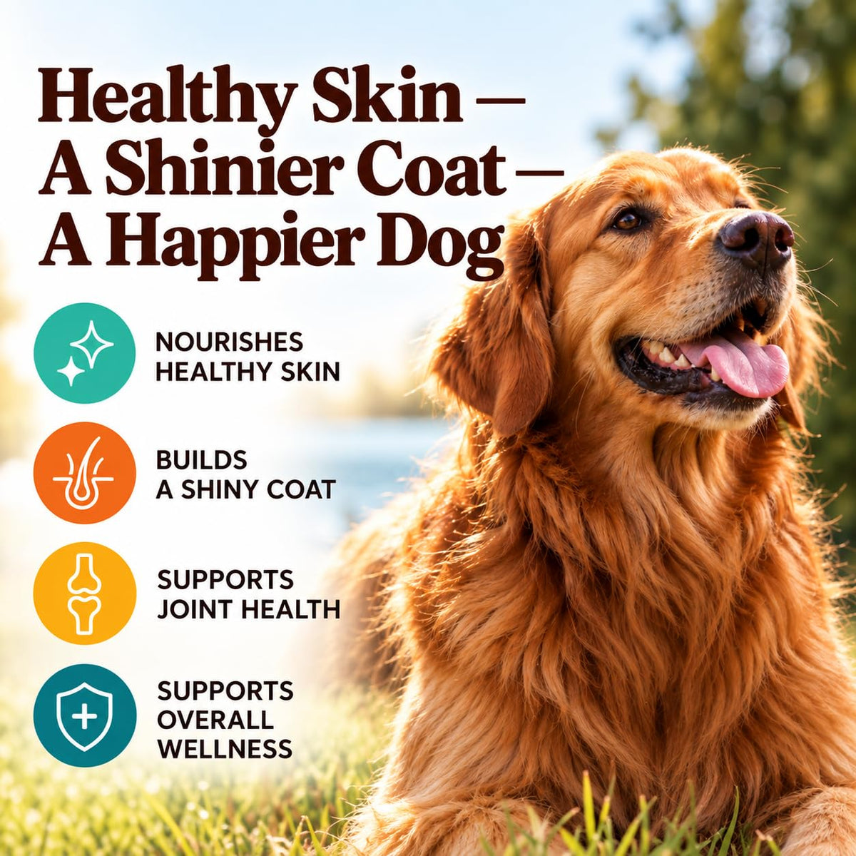 Natural Dog Company Wild Alaskan Salmon Oil for Dogs - 16 oz