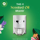 Air Wick Plug in Scented Oil Refill, 10ct, Lavender & Chamomile, Air Freshener, Essential Oils, Eco Friendly