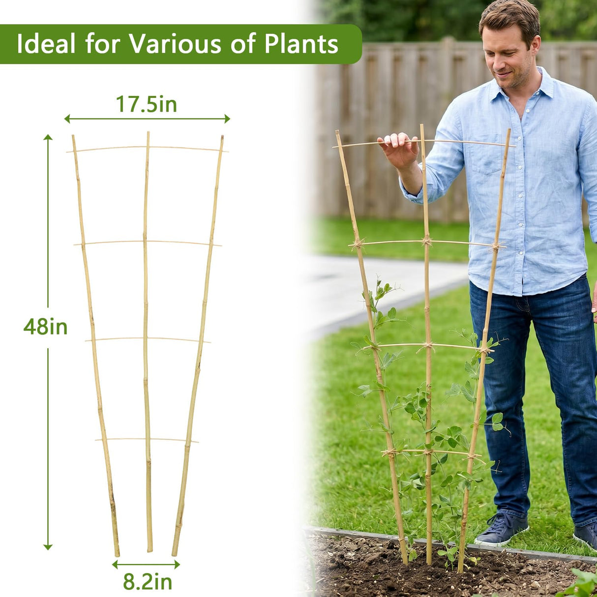 Avalution 10 Pack Bamboo Trellis for Climbing Plants, 4 FT Garden Ladder Trellis for Potted Plants Indoor, Fan-Shaped Small Plant Support Trellis for Houseplants Ivy Hoya Vine Monstera