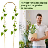 Jollybower Natural U-Hoops Bamboo Plants Trellis 3Ft, Garden Trellis U-Shape for Climbing Plants, Garden Arch Trelli Support for Potted Plants, Vines, Ivy Climbing Plants, Flowers-3 Pack