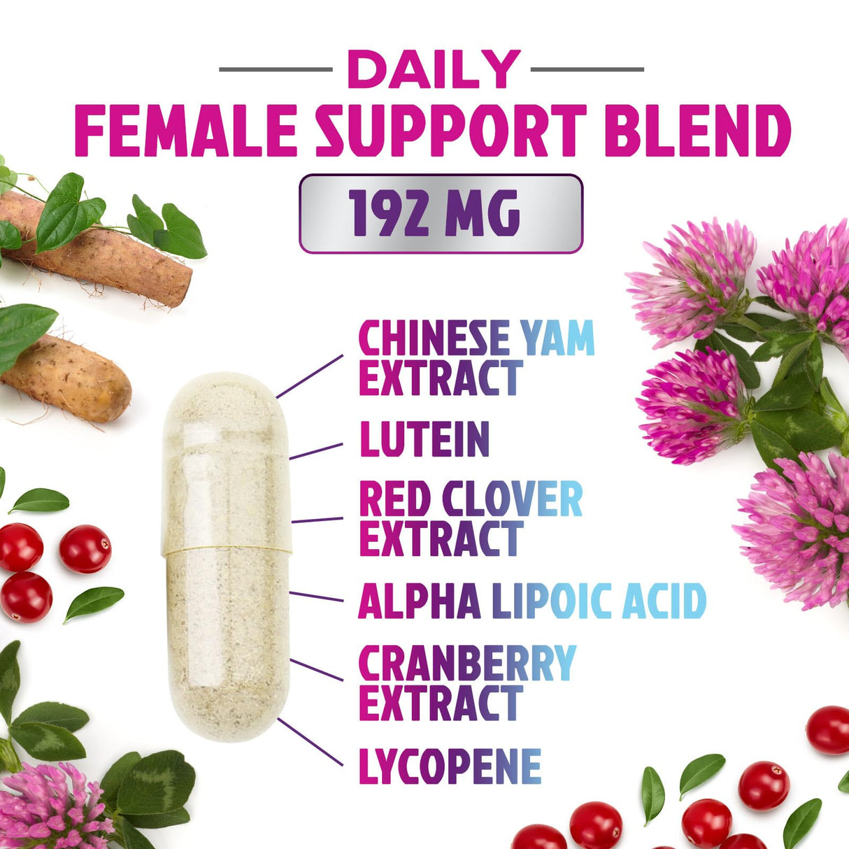 Multivitamin for Women - Womens Daily Multi Vitamin & Multimineral Supplement with Vitamins A, C, D, E, B6, B12, Zinc, Calcium & Magnesium, Energy & Immune Support, Non-GMO, Gluten Free - 120 Capsules