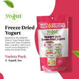 YoGut Freeze Dried Yogurt Snack, Variety Pack, 6 Pack, Healthy Snacks for Kids, Toddlers & Adults, Gluten Free, Non GMO, With 5 Billion Live Probiotics, Vitamins & Minerals, Individual Snack Packs