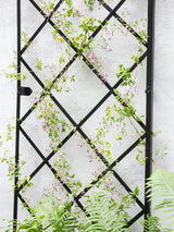 Gardener's Supply Company Lattice Gable Wall Trellis, 32" W x 113.5" H