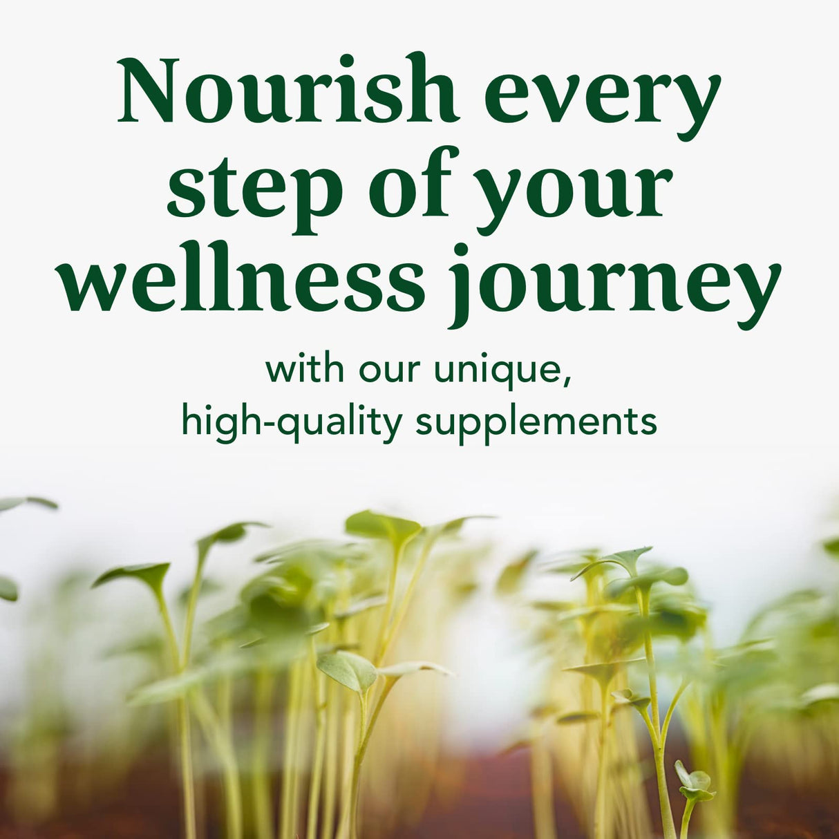 MegaFood Blood Builder Iron Supplement Clinically Shown to Increase Iron Levels Without Side Effects, Vegan Supplement For Women with Vitamin C, Vitamin B12 & Folic Acid, 180 Tablets