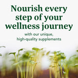 MegaFood Blood Builder Iron Supplement Clinically Shown to Increase Iron Levels Without Side Effects, Vegan Supplement For Women with Vitamin C, Vitamin B12 & Folic Acid, 180 Tablets