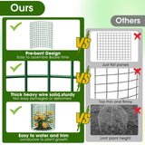 10 Pack Plant Protectors from Animals | 30PCS 13"x13" Metal Wire Mesh Garden Plant Cages for Gardening Supplies | Chicken Wire Cloche Plant Protectors for Rabbits Chickens Ducks