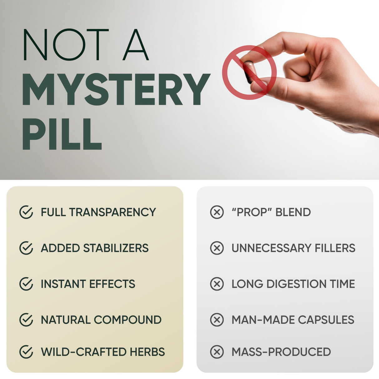 Jungle Powders Black Ant Extract Powder 30:1 Concentration, 94 Servings - 5 Ounces of Pure Polyrhachis Black Ant Supplement, Filler Free Changbai Mountain Ant Traditional Mens Health Support for Drive