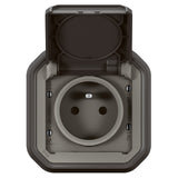 Legrand - IP55 Waterproof Socket with Plexo Earth - 2P+T 16A Socket Complete with Shutter - For Recessed Installation with Claws - Made in France - Anthracite