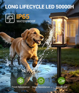 Solar Pathway Lights Outdoor, 8 Pack Upgraded Solar Garden Lights Solar Powered, Solar Lights Outdoor Waterproof IP65, 15 Hours Outdoor Solar Lights for Yard Patio Landscape Walkway Driveway Decor
