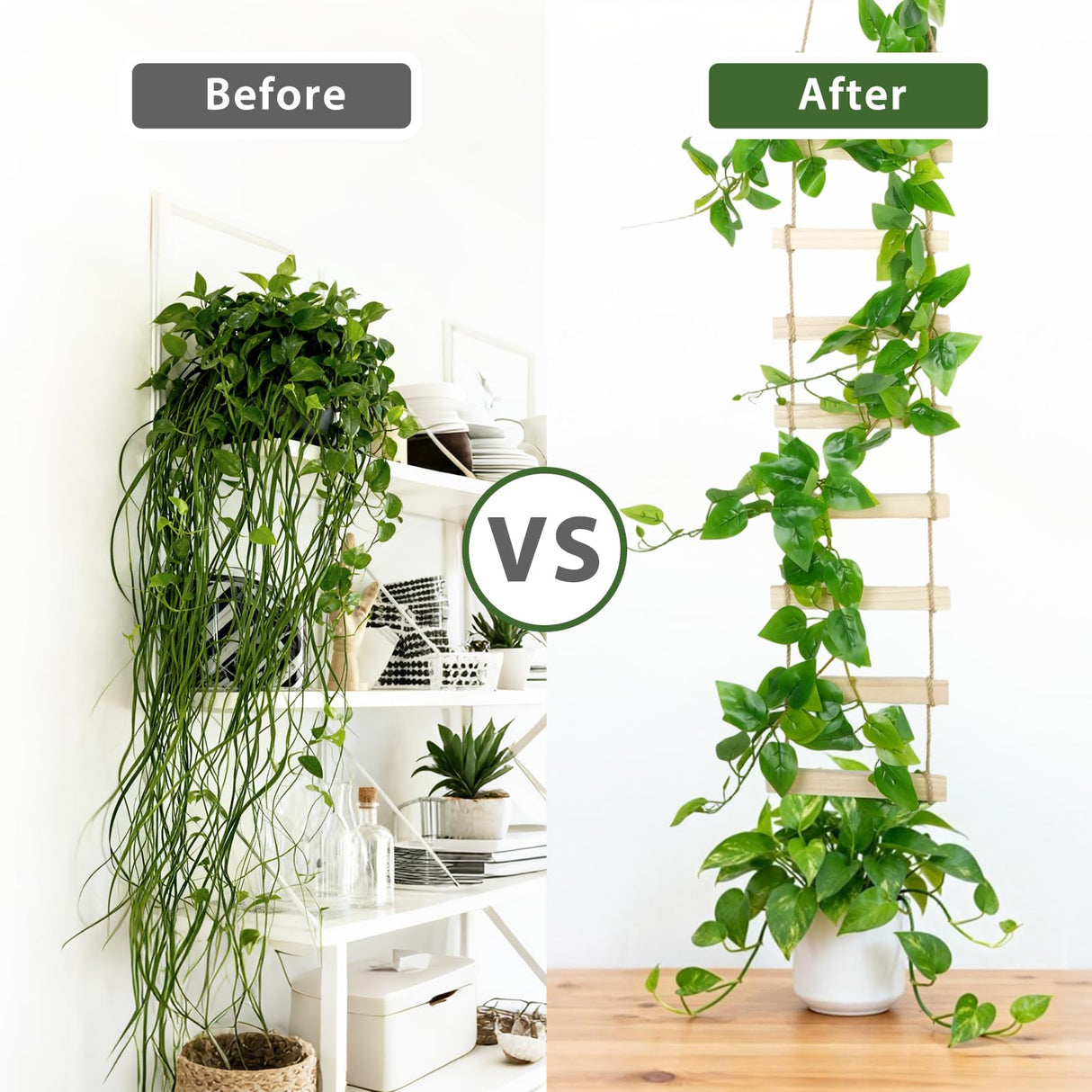 Wooden Ladder Plant Trellis for Climbing Plants – 6ft Extra Tall Indoor & Outdoor Hanging Wall Wooden Trellis Garden Plant Support, Easy to Install for Vines, Ivy, Pothos, Potted Plants