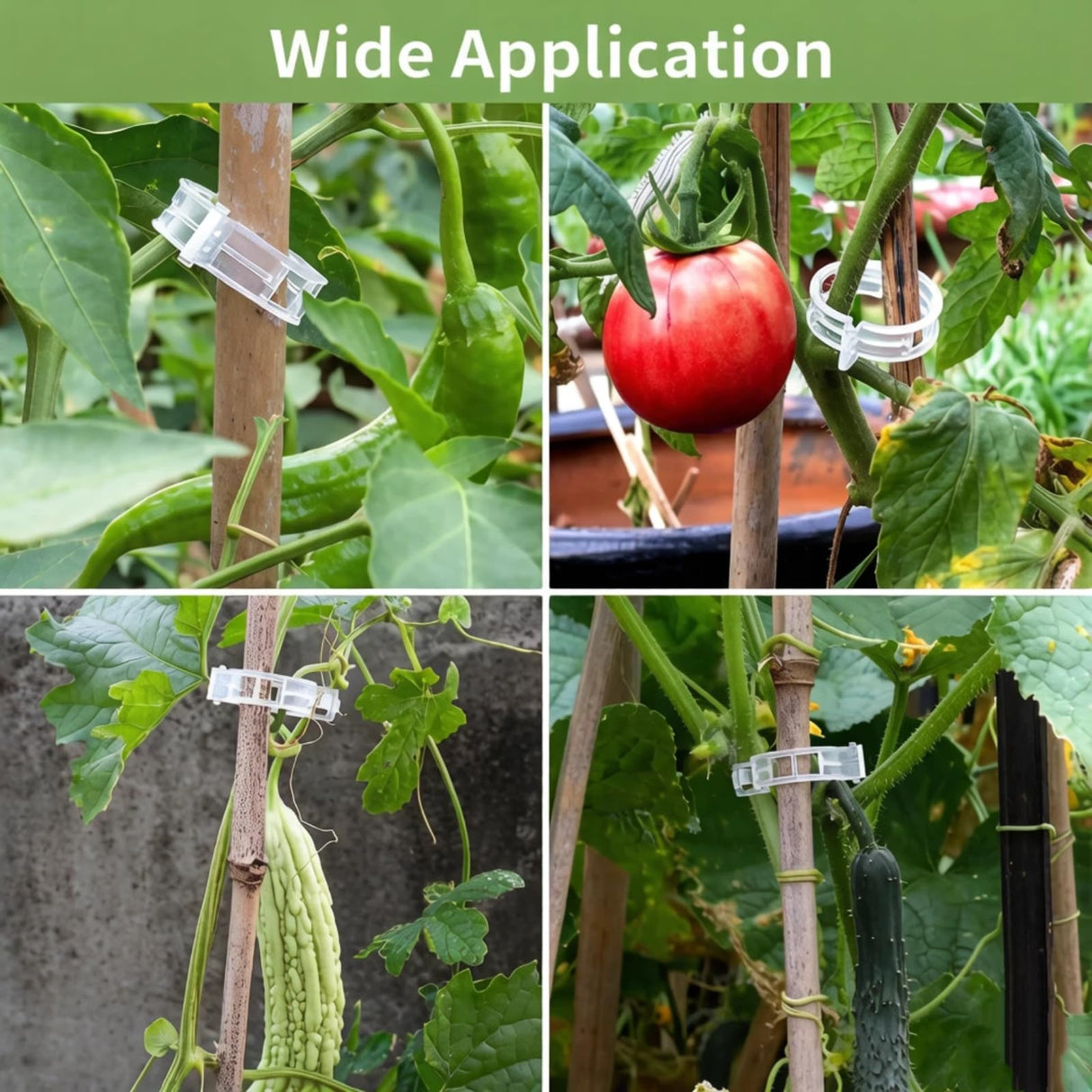 Hytihtu 50Pcs Plant Support Clips Plastic Trellis Clips, Tomato Vine Clips