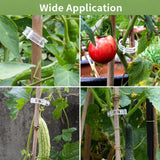 Hytihtu 50Pcs Plant Support Clips Plastic Trellis Clips, Tomato Vine Clips