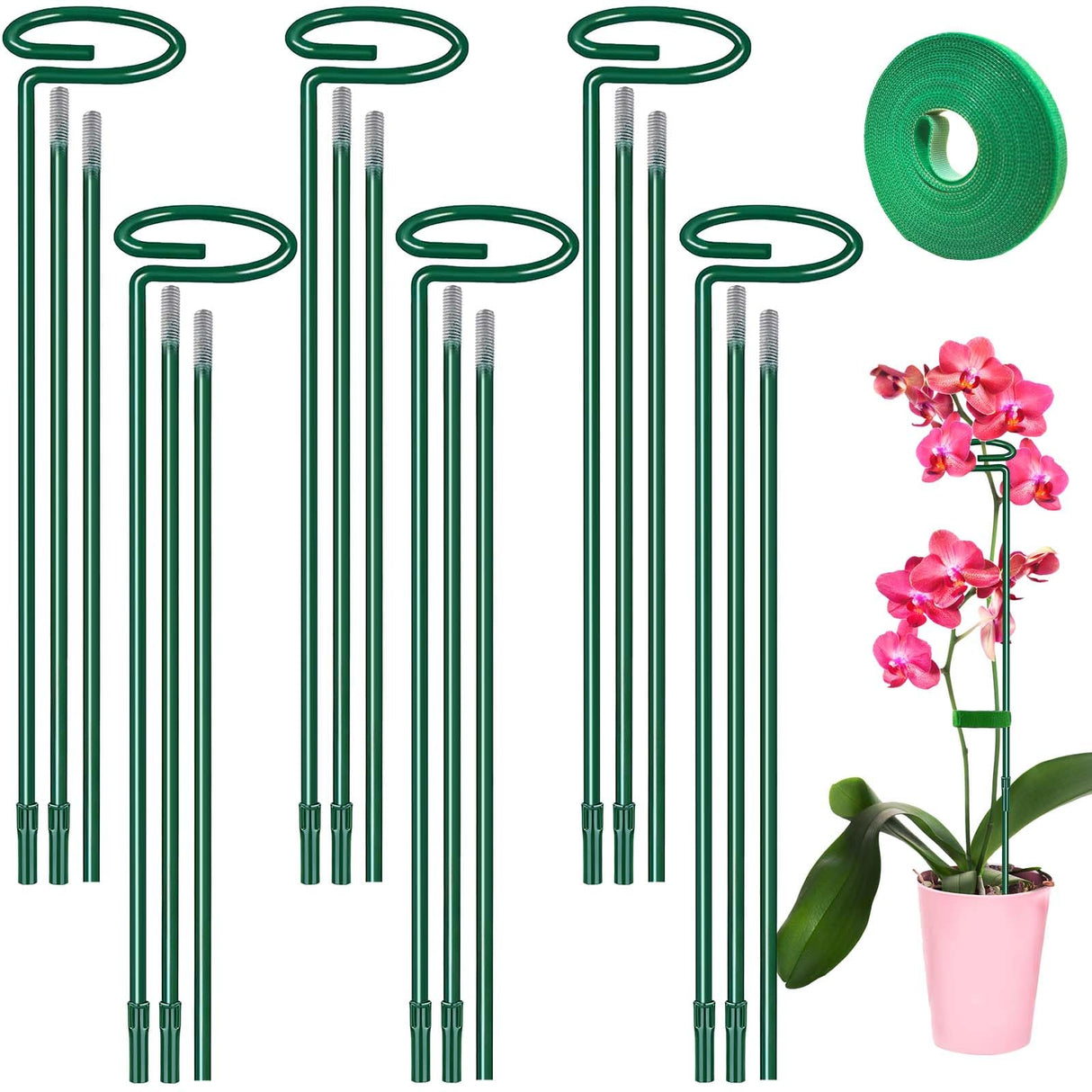 Plant Support Stakes 6 Pack, 12/24/36 Inch Heavy Duty Metal Plant Stakes, Adjustable Garden Plant Support Cages/Rings for Outdoor Indoor Plants, Plant Stick Support for Amaryllis Tomato Peony Orchid