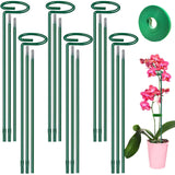 Plant Support Stakes 6 Pack, 12/24/36 Inch Heavy Duty Metal Plant Stakes, Adjustable Garden Plant Support Cages/Rings for Outdoor Indoor Plants, Plant Stick Support for Amaryllis Tomato Peony Orchid