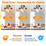 Ascher Vintage LED Edison Bulbs, 6W, Equivalent 60W, Non-Dimmable, High Brightness Cool White 4000K, ST58 Antique LED Filament Bulbs with 80+ CRI, E26 Medium Base, Clear Glass, Pack of 6