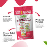 YoGut Freeze Dried Yogurt Snack, Variety Pack, 6 Pack, Healthy Snacks for Kids, Toddlers & Adults, Gluten Free, Non GMO, With 5 Billion Live Probiotics, Vitamins & Minerals, Individual Snack Packs