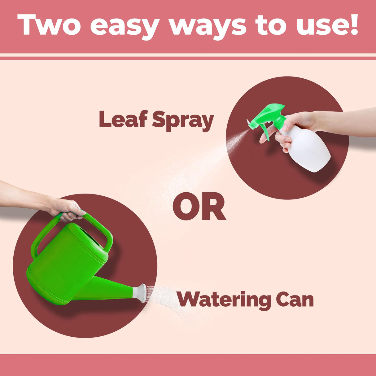 TPS NUTRIENTS Christmas Cactus Fertilizer for All Christmas Cacti and Schlumbergera Cacti, Liquid Plant Food, 32 oz (1 Quart)