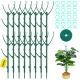 16Pack Stackable Plant Support Stakes, Monstera Plant Support