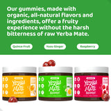 HOLYMARY Yerba Mate Gummies, Raspberry Flavor - Energy, Focus, Power Vegan, Non-GMO, Natural Ingredients, Gluten Free, 50 Delicious Supplement Gummies