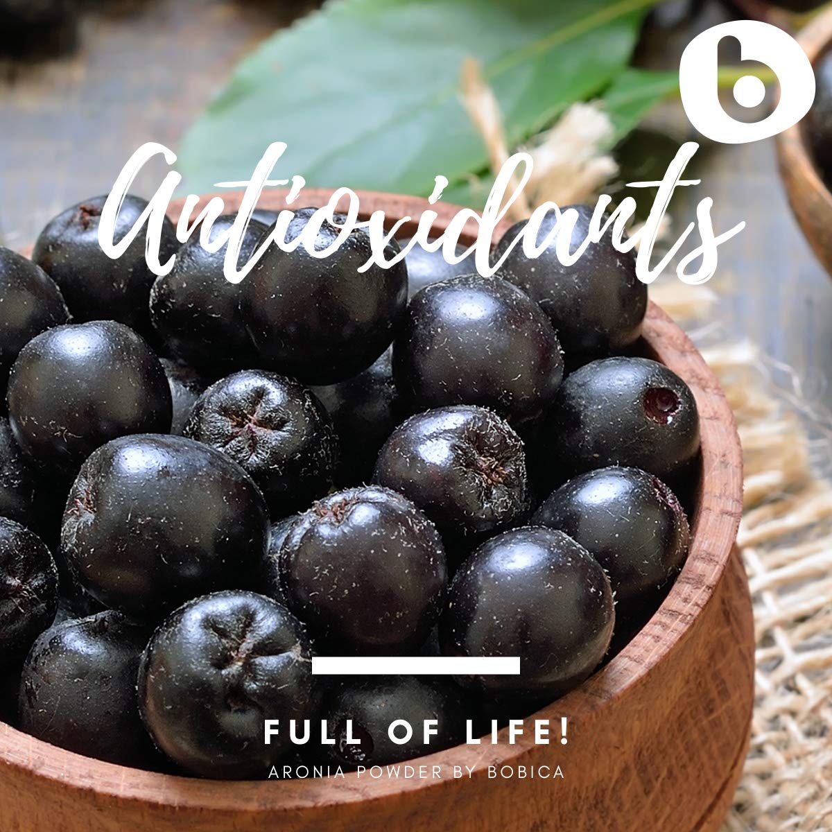 b Organic Aronia Berry Powder - Black Chokeberry Superfood High in Anthocyanins & Polyphenols - Supports Immune System - Chokeberries Organic Superfood - Aronia Berries - Vegan, Gluten-Free - 1lb