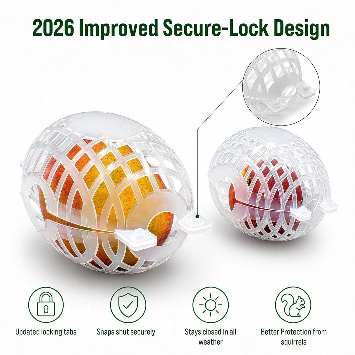 Rooted Promise Fruit Protection Cages for Peaches and More | 2026 Improved Secure-Lock Design | Small 4x5 Inch | 12 Pack | Squirrel Resistant | Reusable Heavy-Duty Plastic | Made in USA