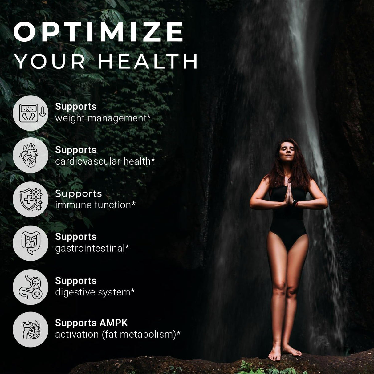 ACEWORKZ Berberine HCL 1200mg Supplement – 97% High Purity – Support Weight Management, Craving Control, Heart & Gut Health (60 Capsules)