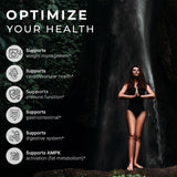 ACEWORKZ Berberine HCL 1200mg Supplement – 97% High Purity – Support Weight Management, Craving Control, Heart & Gut Health (60 Capsules)