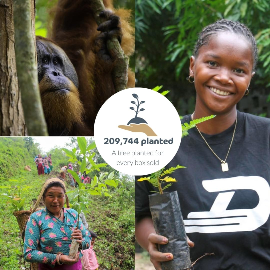 Bumboo Bamboo Toilet Roll 24 Pack | Wrapped Toilet Paper 3 ply, 300 Sheets | Eco Friendly Toilet Paper | Plastic-Free, Soft, Strong, Sustainable & Biodegradable Toilet Tissue