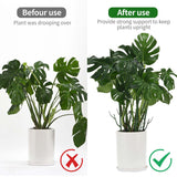 Yhtpouqe 12 Pack Plant Support Stakes, Plant Stakes for Indoor and Outdoor Plants. 39.37inch Plant Sticks with Extension Poles, Plant Clips, Plant Ties for Potted Monstera Plants, Climbing Plants