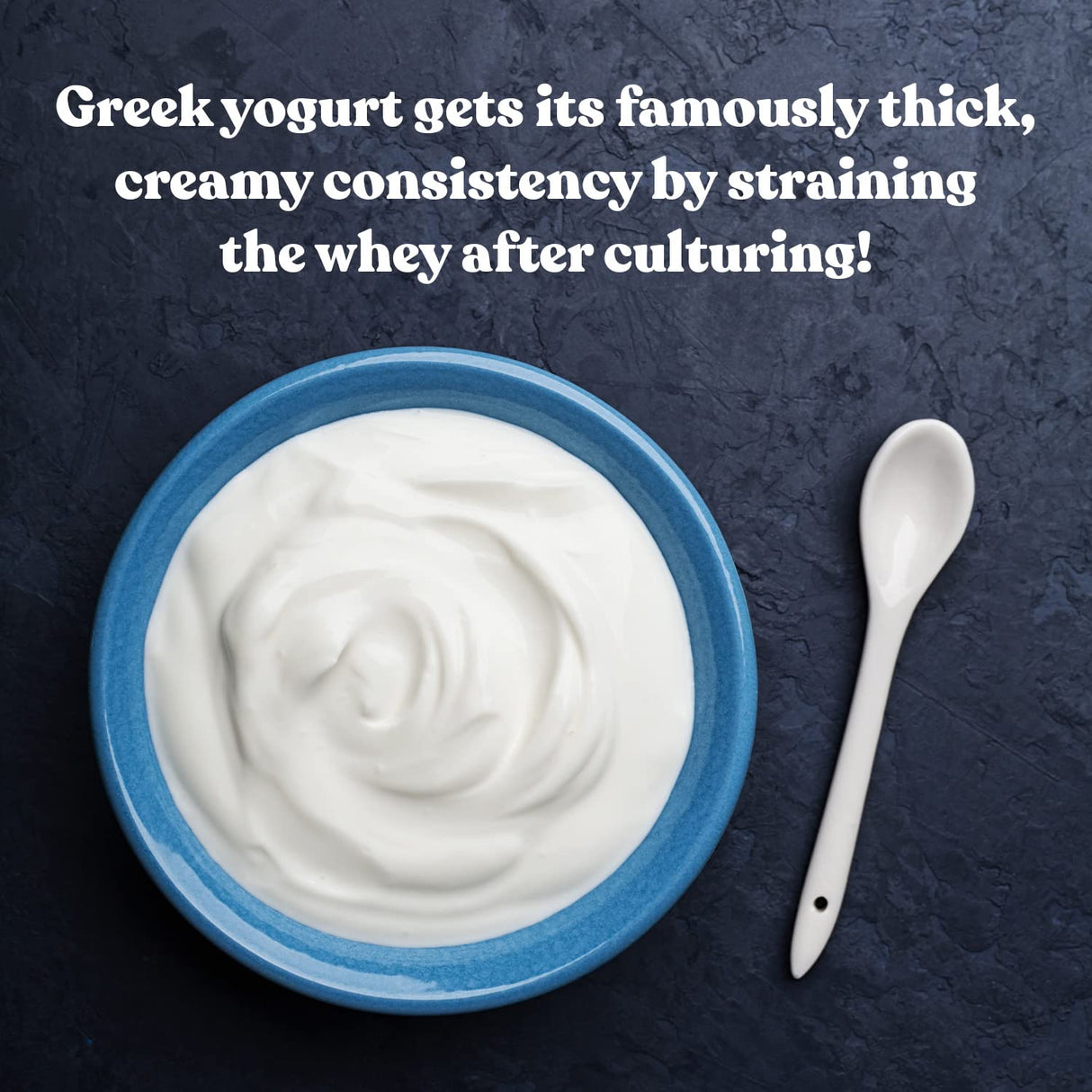 Cultures for Health Greek Yogurt Starter Culture | 2 Packets Dehydrated Heirloom Style DIY Probiotic Yogurt | Delicious for Smoothies, Granola and Berries, Tzatziki, Soup, & Other Healthy Snacks